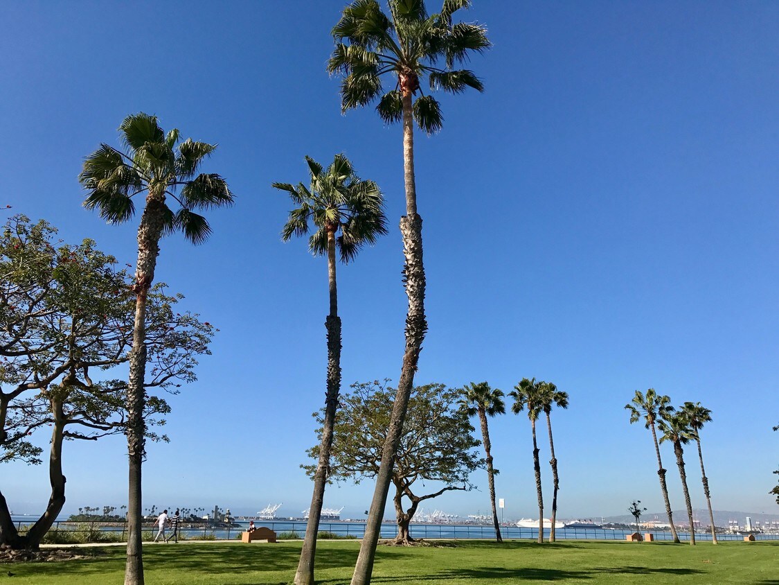 3618 E Ocean Blvd, Long Beach, CA 90803 Apartments 3618 E Ocean Blvd