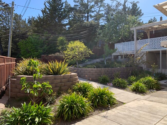 Building Photo - 251 Amador Ave