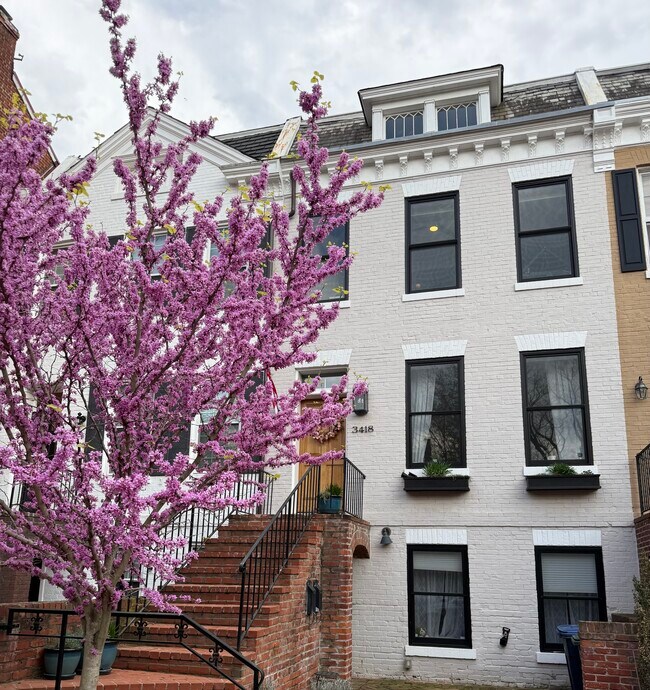 Entrada principal - 3418 R Street NW