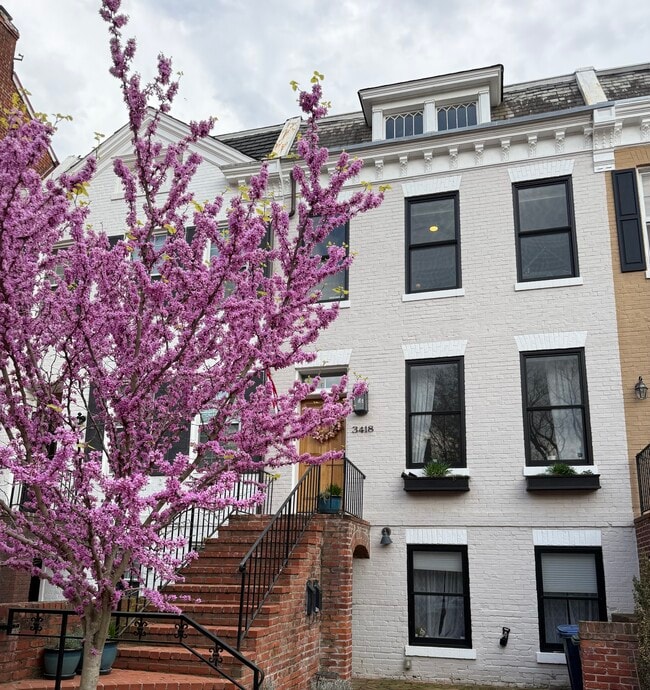Front entry - 3418 R Street NW