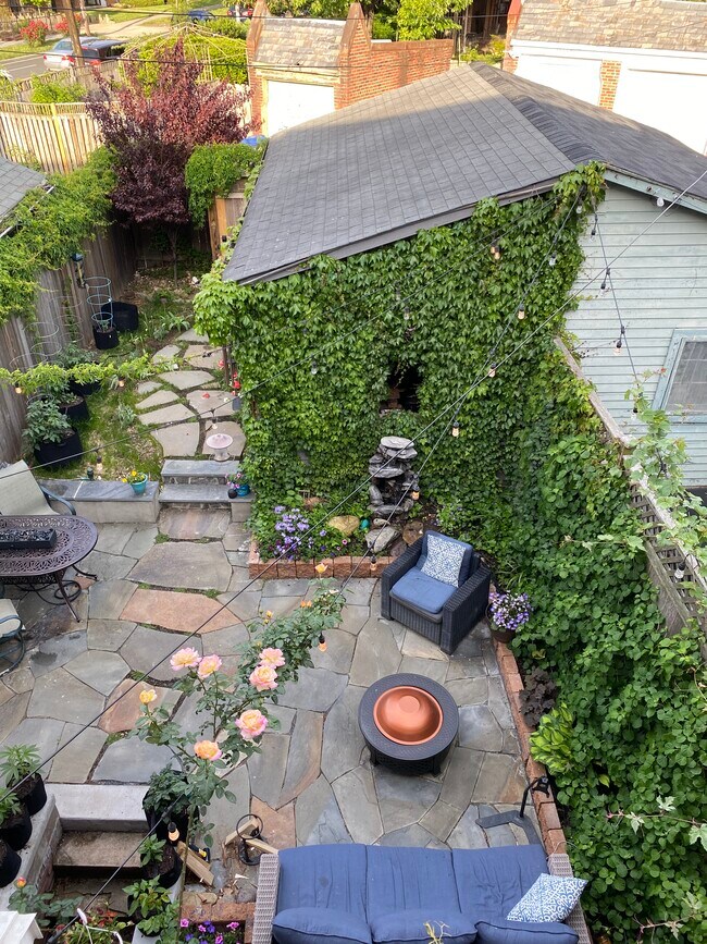 Amazing backyard with new flagstone patio and magical curtains of ivy! - 5319 1st St NW