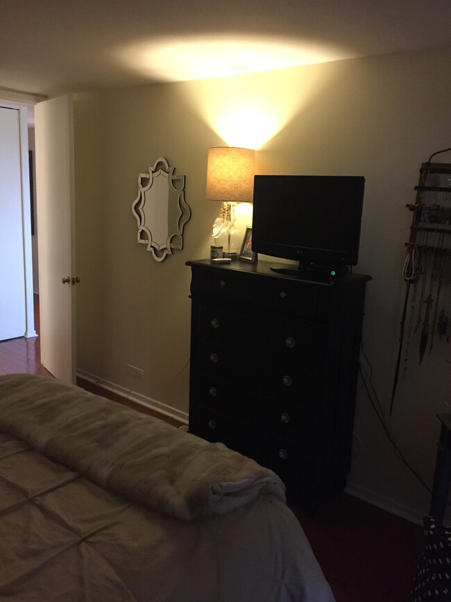 Large Bedroom - 1960 N Lincoln Park W