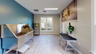 Located at 2400 Garden Hill Dr in Raleigh, NC, this single-floor professional pet grooming studio is thoughtfully designed to provide a clean, functional, and welcoming environment for both pets and their owners. The space features light-toned luxury vinyl plank flooring throughout, offering durability and easy maintenance, while a bold teal accent wall adds a vibrant, energetic character to the interior.

The main grooming area is equipped with a stainless steel professional bathing tub complete with an integrated hose and restraint system, ideal for pet washing and hygiene services. A grooming table with a mounted dryer arm is conveniently positioned nearby, streamlining the grooming workflow. Open shelving provides accessible storage for supplies and tools. Large wall-mounted artwork depicting dogs adds a warm, pet-friendly aesthetic to the space.

Natural light flows generously through multiple white-framed windows that frame views of the lush greenery outside, creating a calm and pleasant atmosphere. Overhead flush-mounted panel lighting ensures consistent illumination throughout the workspace. The entry features a glass-paneled door, a coat hook station, a seating bench for clients, and safety equipment including a fire extinguisher and emergency exit signage. The layout is open and spacious, allowing for efficient movement during grooming sessions.