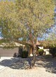 Primary Photo - 2 Bedroom 2 Bathroom Home Available