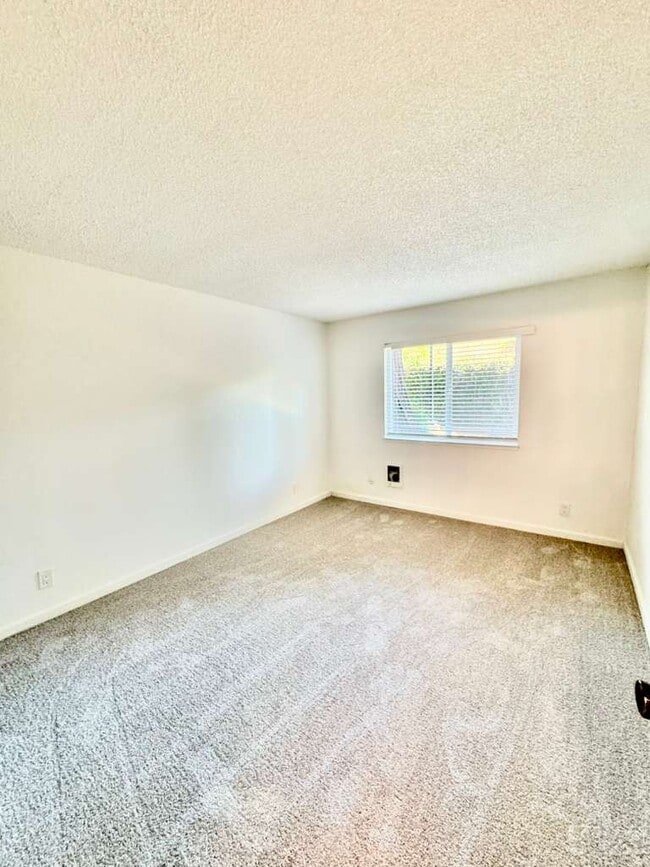 Building Photo - 481 Ignacio Blvd
