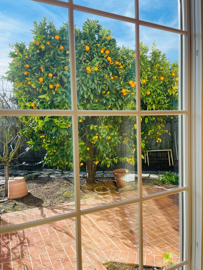 Building Photo - 200 Iris Way