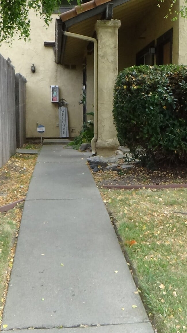 Walkway - 1117 Seabreeze Way