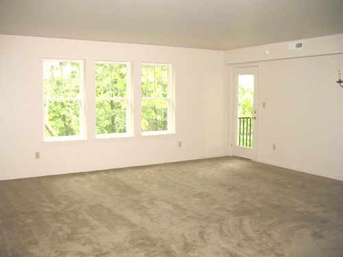Living area - 501 Mattern Orchard Dr