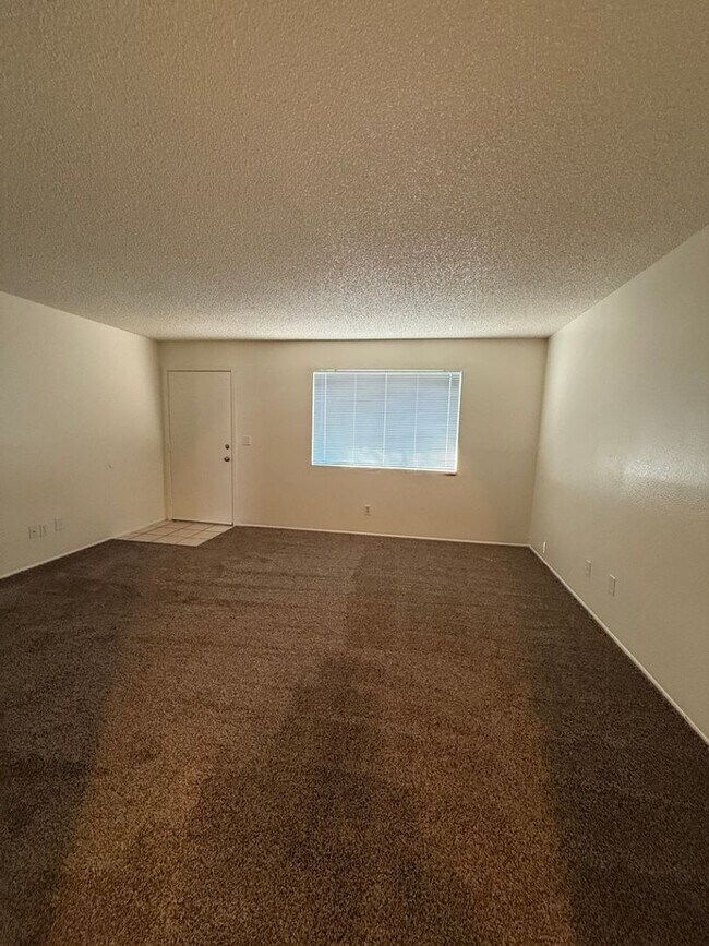 Foto del edificio - REMODELED 3 Bed/2Bath single family home with HUGE yard