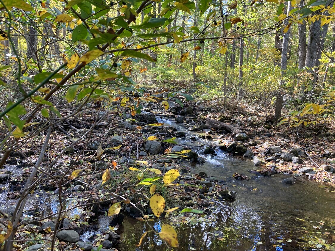 Foto principal - 1679 Glass Hollow Rd