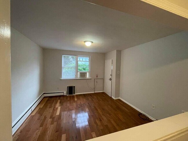 Living Room - 207 Elbridge St