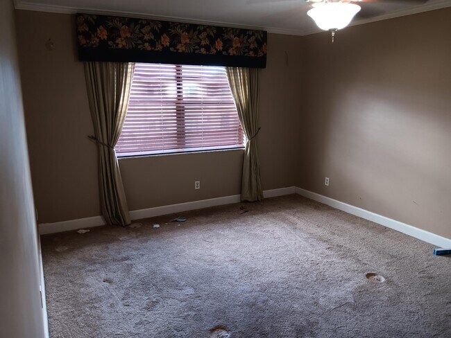 Foto del edificio - 2050 Oleander Blvd