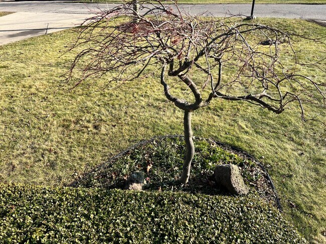 Building Photo - 38215 Circle Dr