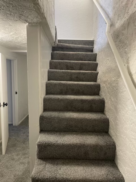 Escaleras - 2102 --2104 Jefferson Ave