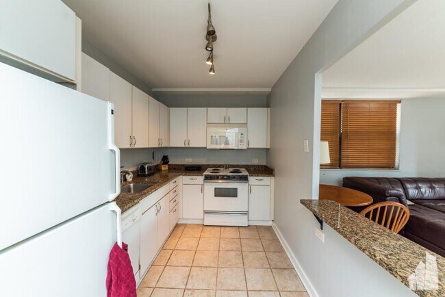 Foto del edificio - 1 bedroom in Chicago IL 60610