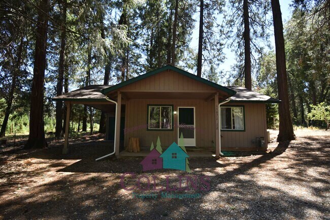 Foto del edificio - 11071 Cedar Ridge Dr