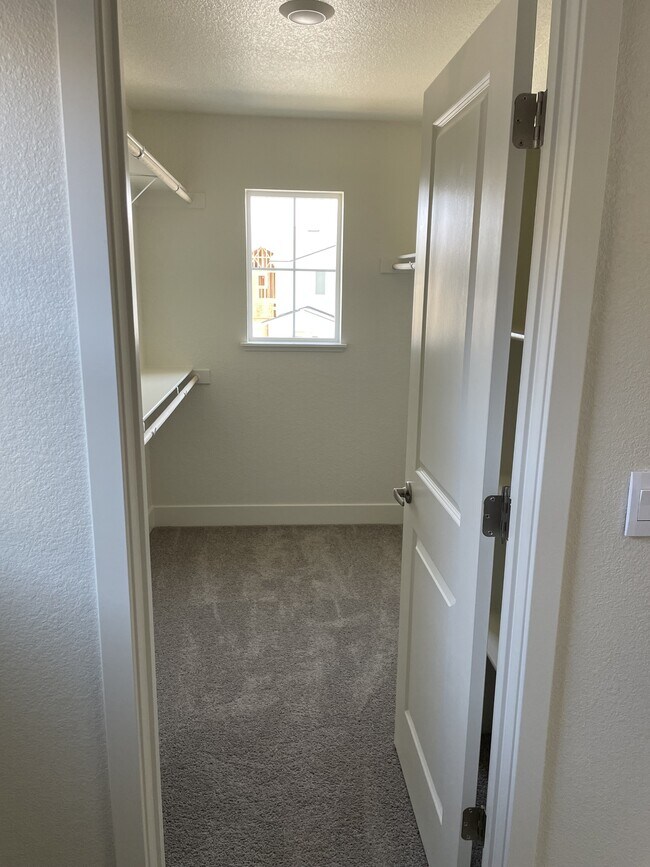 Building Photo - 1778 Halite Dr
