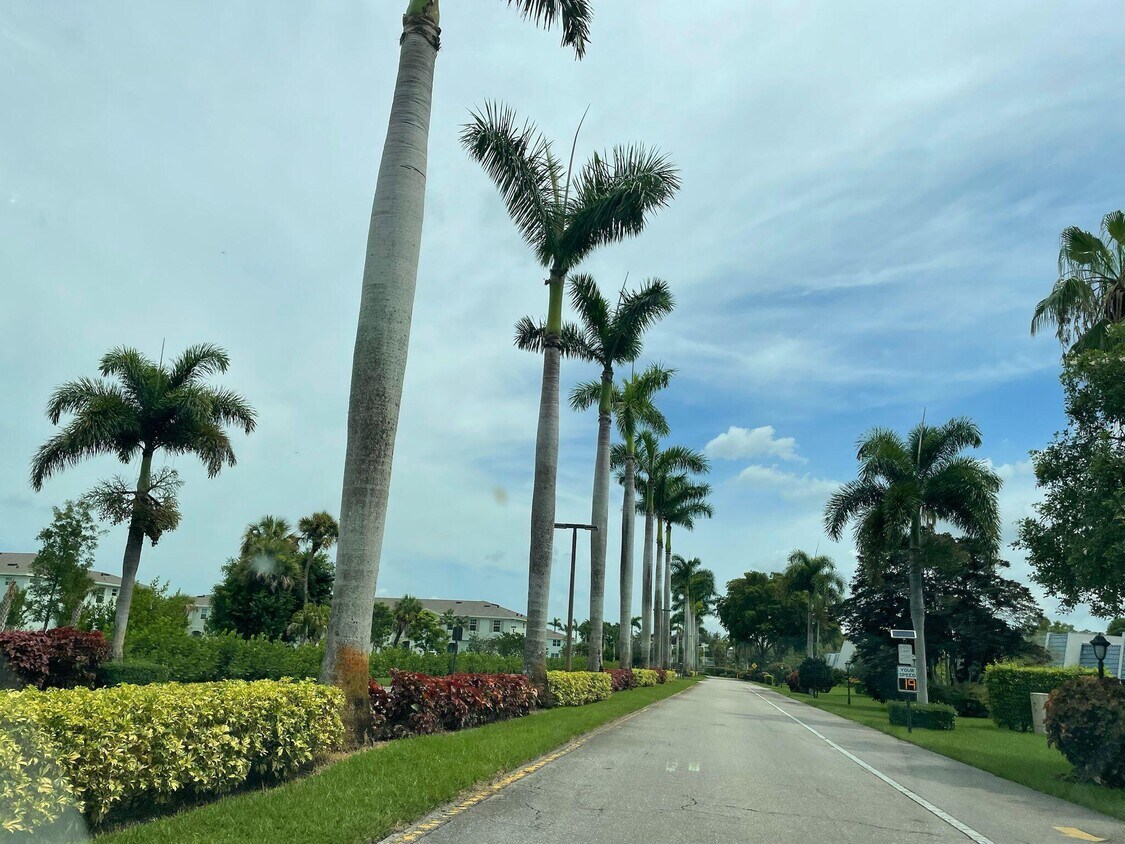 Primary Photo - 4539 Luxemburg Ct