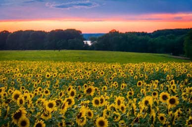 Building Photo - 32 Talcott Ave