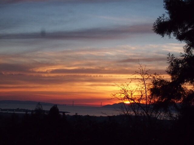 View from deck - 808 Arlington Ave