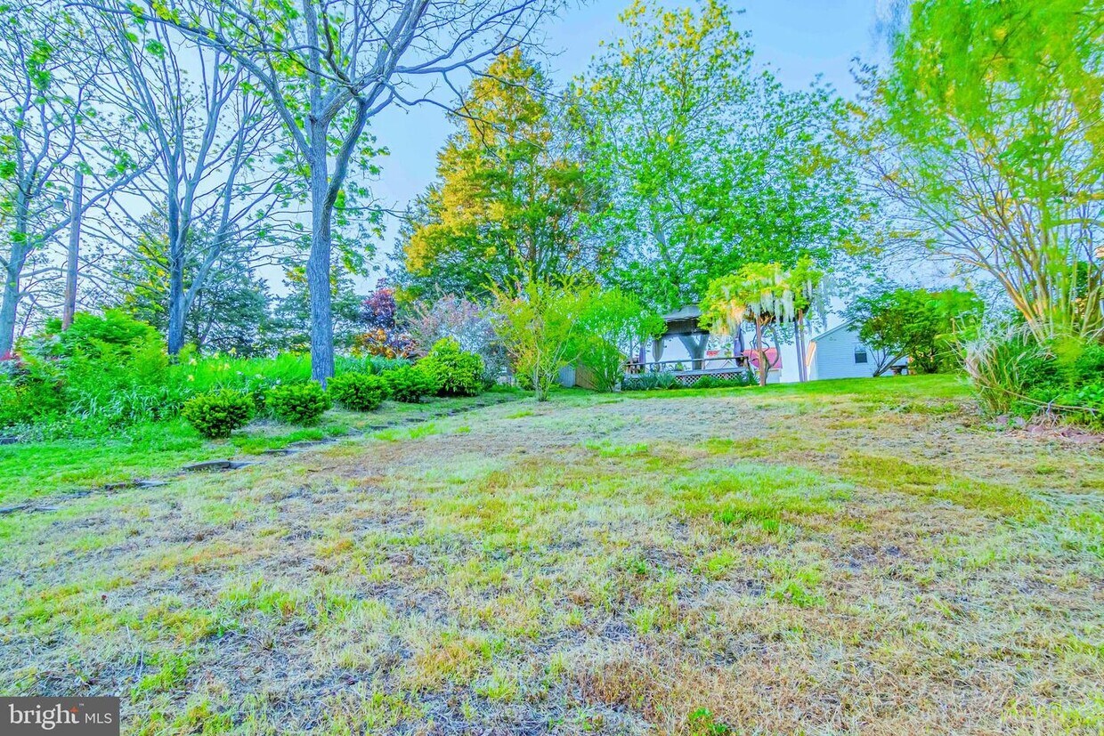 Primary Photo - 351 Cypress St