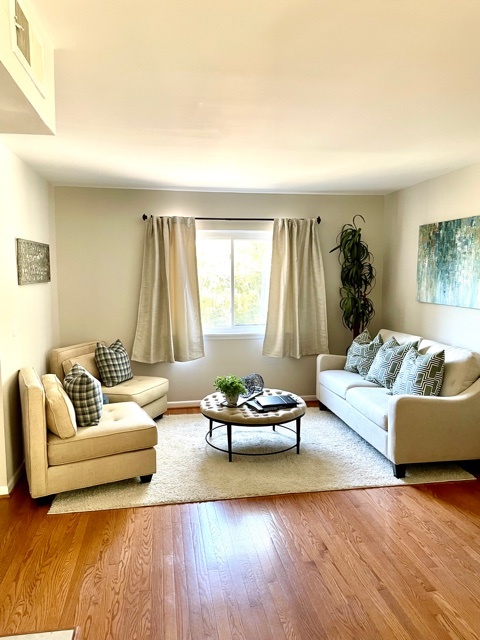 Living area - 233 Summit Ridge Dr