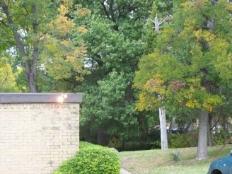  - 4633 Country Creek Dr