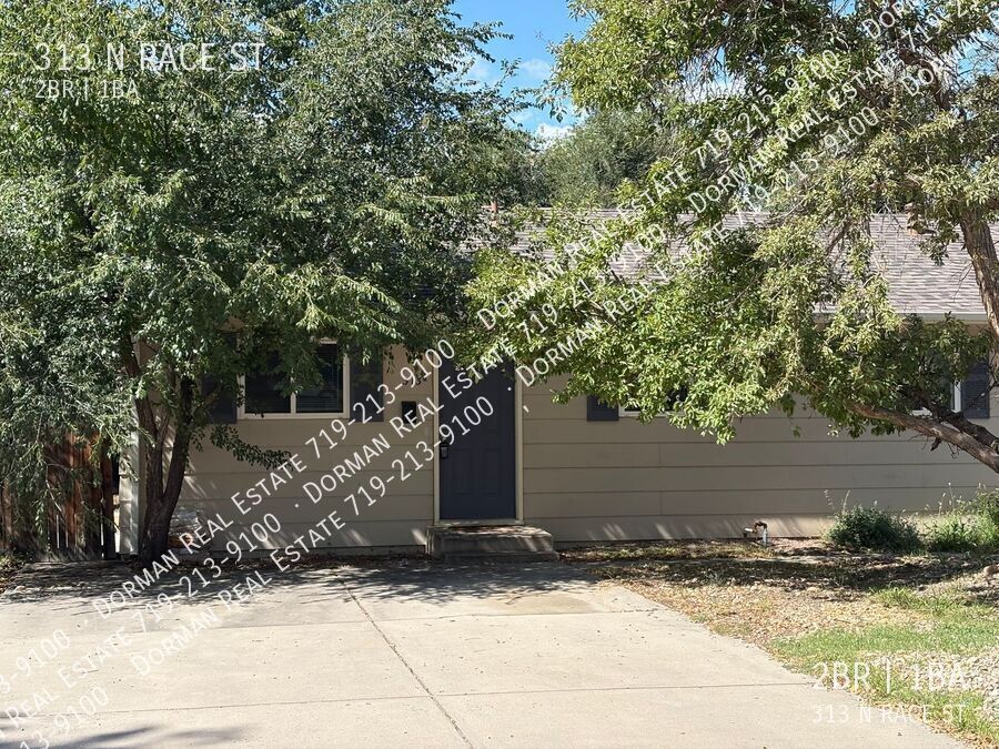 Foto principal - 313 N Race St