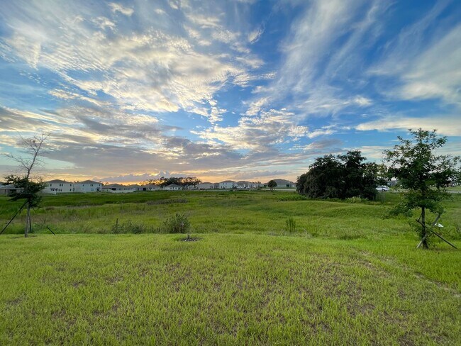 Foto del edificio - Conservation view, no Rear neighbors Single family house in Davenport!