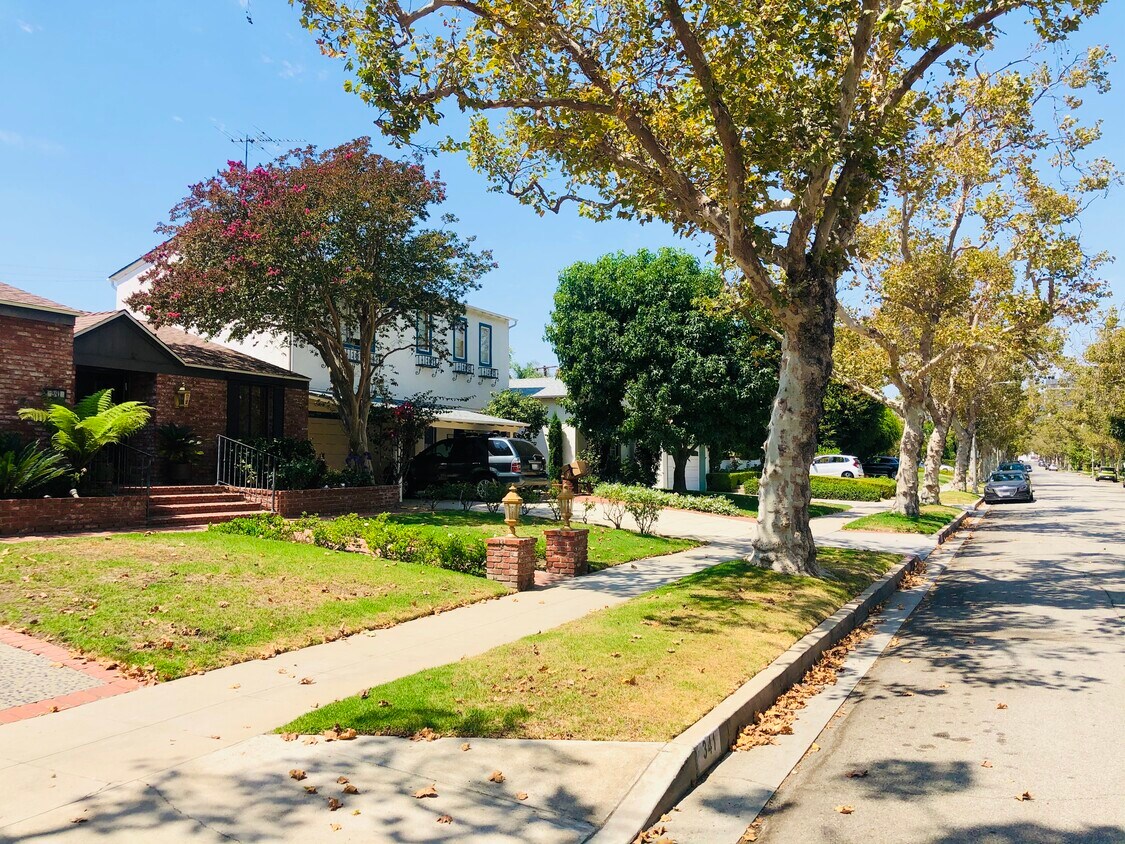 341 S RODEO Dr, BEVERLY HILLS, CA 90212 House Rental in BEVERLY HILLS