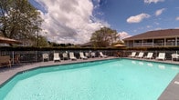 Located at 100 Windsor Cir in Jacksonville, North Carolina, this outdoor community pool area offers a well-appointed recreational retreat designed for relaxation and leisure. The centerpiece is a generously sized swimming pool with crystal-clear turquoise water, clearly marked with shallow and deep water indicators for safety. The pool is enclosed by a white metal fence that provides both security and an open, airy feel, while a dense surrounding hedge offers natural privacy screening from neighboring buildings.

The expansive concrete sundeck surrounds the pool on multiple sides and is furnished with numerous white lounge chairs and reclining chaise lounges, providing ample space for sunbathing and socializing. Shaded dining areas are available with umbrella-covered tables and slatted chairs, ideal for relaxing out of direct sunlight. Additional freestanding patio umbrellas are positioned throughout the deck for flexible shade options.

A single-story clubhouse or pool house structure sits adjacent to the pool, featuring light gray siding and providing a functional anchor to the space. Mature trees visible beyond the fence line contribute a natural, park-like backdrop. The overall ambiance is bright, open, and inviting, well-suited to the warm North Carolina climate.