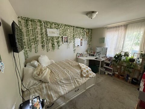 Foto del edificio - 3880 Cottontail Way