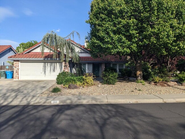 Building Photo - Beautiful Browns Valley Home!