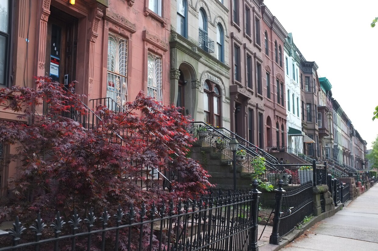 378 Macon St Unit Apt 2, Brooklyn, NY 11233 Apartments in Brooklyn, NY