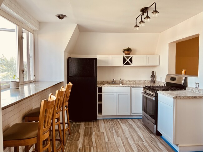 Fully renovated kitchen stainless steel appliances and granite countertops! - 222 Montgomery St