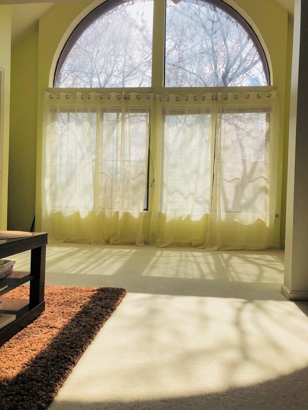 Sunroom - 2807 Lee Oaks Ct