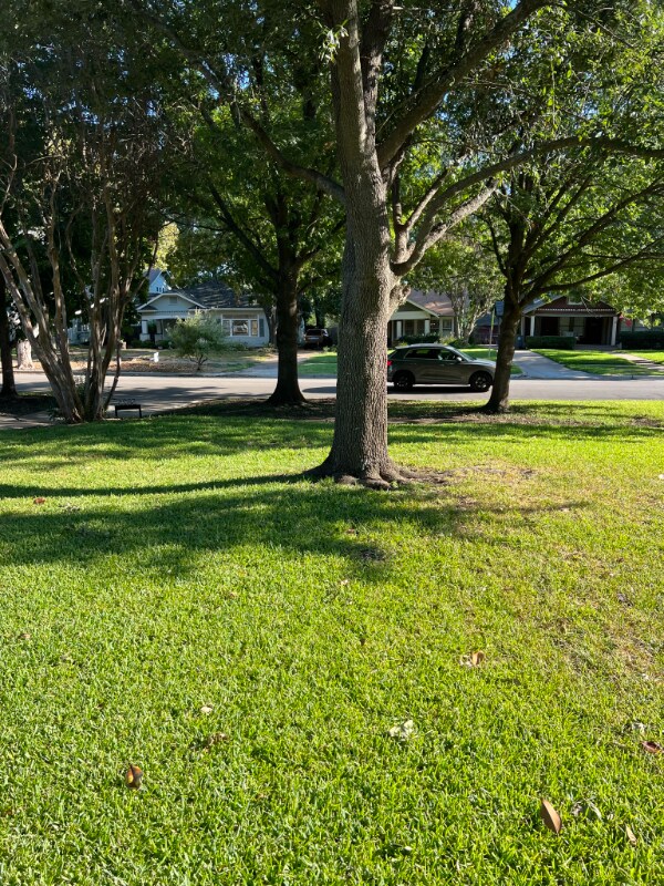 Foto del edificio - 5825 Belmont Ave