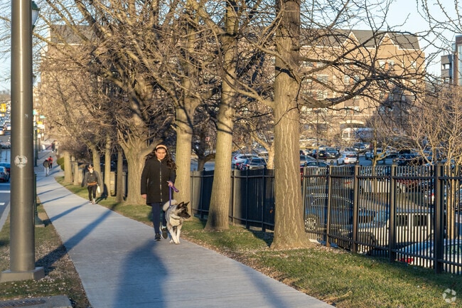 Take a stroll through Saint Joseph's University's campus.