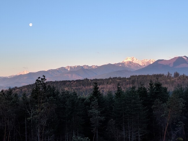 Mountain views from property - 83 Octopus Ct