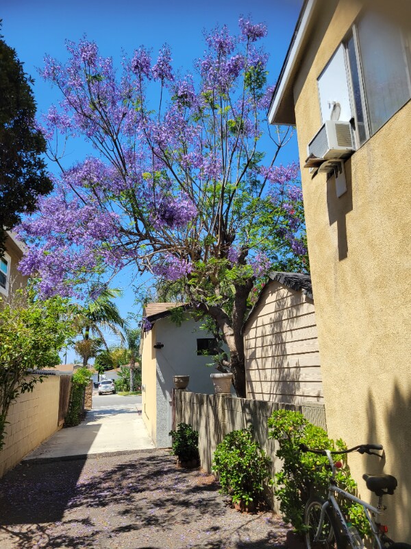 366 Houses for Rent in Orange County, CA Westside Rentals