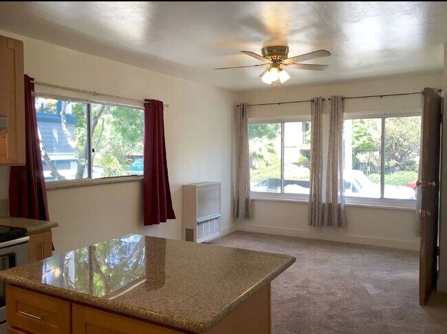 Foto del edificio - 313 First Street unit B San Rafael CA 94901-1 bd 1 bath