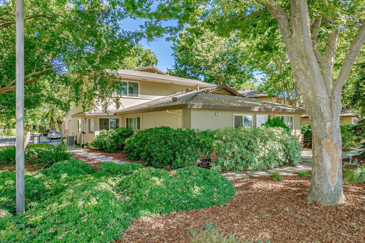 Primary Photo - Fully Updated 2 Bedroom 1 Bath Condo