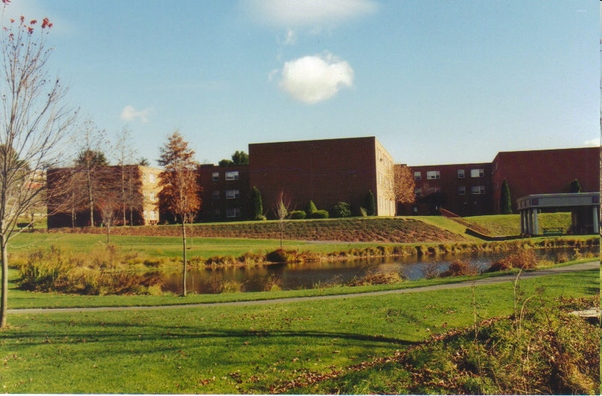 Primary Photo - Meadows Apartments