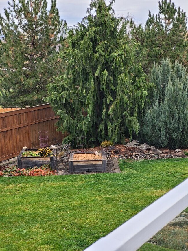 Foto del edificio - Well Maintained Family Home in Clarkston Heights