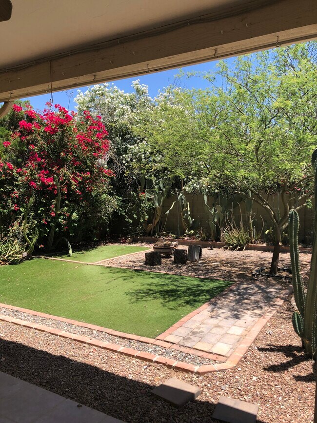 Patio trasero - 2715 S Cottonwood