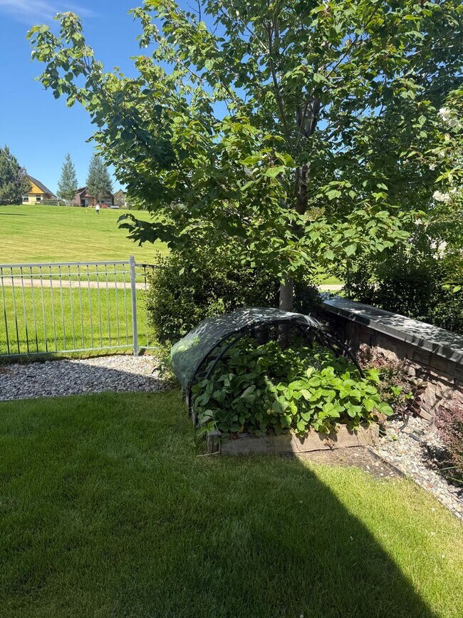 Foto del edificio - Rare Find- Home for Rent in the Knolls Community