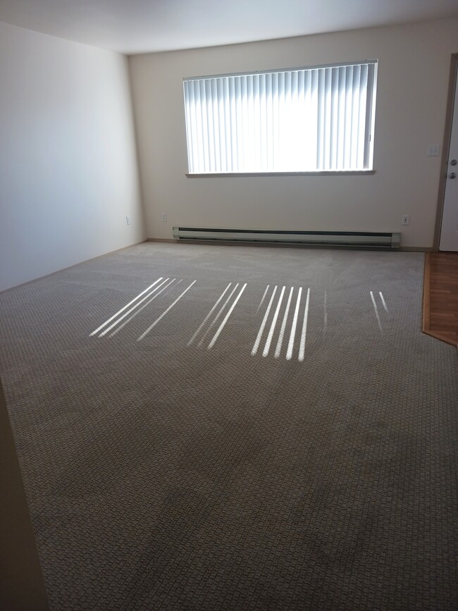 Large living room upgraded carpet - Noble Court Estates