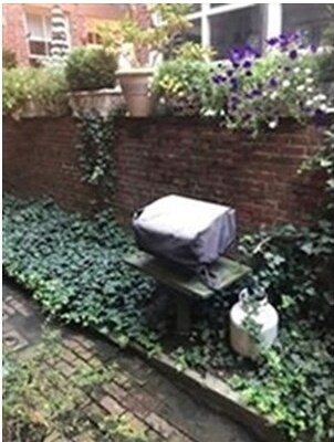 Foto del edificio - 19 Temple St