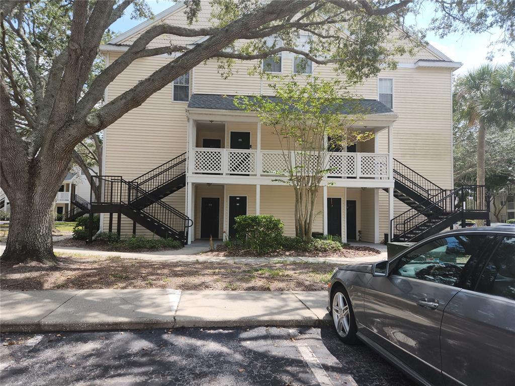 3315 Haviland Ct Unit 102, Palm Harbor, FL 34684 Condo for Rent in