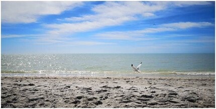 Building Photo - 2579 Third St